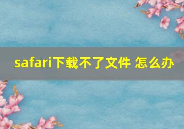 safari下载不了文件 怎么办